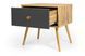 Тумба приліжкова UrbanOak-4 (дуб аппалачі і антрацит, 50x40x52 см) IMI ltmb-hg4-db-ppl-ntr фото 3
